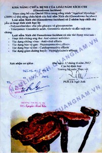 Giấy chứng nhận khả năng chữa bệnh của nấm lim xanh Giấy chứng nhận khả năng chữa bệnh của nấm lim xanh
