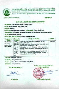 Kết quả thẩm định tên khoa học của nấm lim xanh 1 Kết quả thẩm định tên khoa học của nấm lim xanh 1