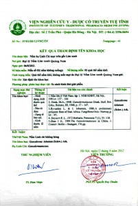 Kết quả thẩm định tên khoa học của nấm lim xanh 2 Kết quả thẩm định tên khoa học của nấm lim xanh 1