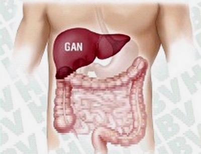 4 Bệnh Cần Thiết Sử Dụng Nấm Lim Xanh