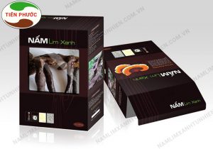 Sản phẩm nấm lim xanh được bán bởi Công ty TNHH Nấm lim xanh Tiên Phước