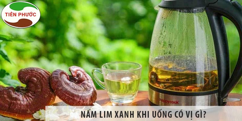 Nấm lim xanh uống có vị gì? Hướng dẫn uống nấm lim xanh đúng cách